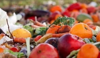 Food Waste Green