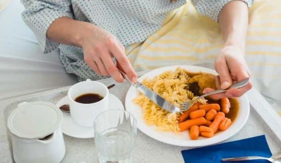 Food Waste Recycling and Dehydration: Your Complete FAQ Guide