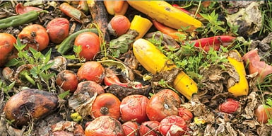 How is food waste recycled in the UK